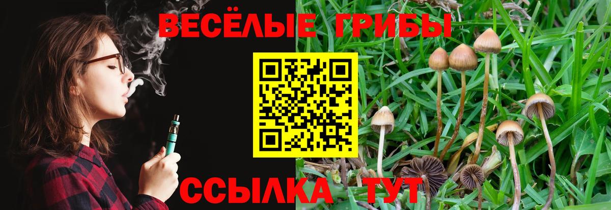 Галлюциногенные грибы мицелий  Вход с VPN  Зима 