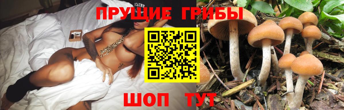 Псилоцибиновые грибы Magic Shrooms Зима